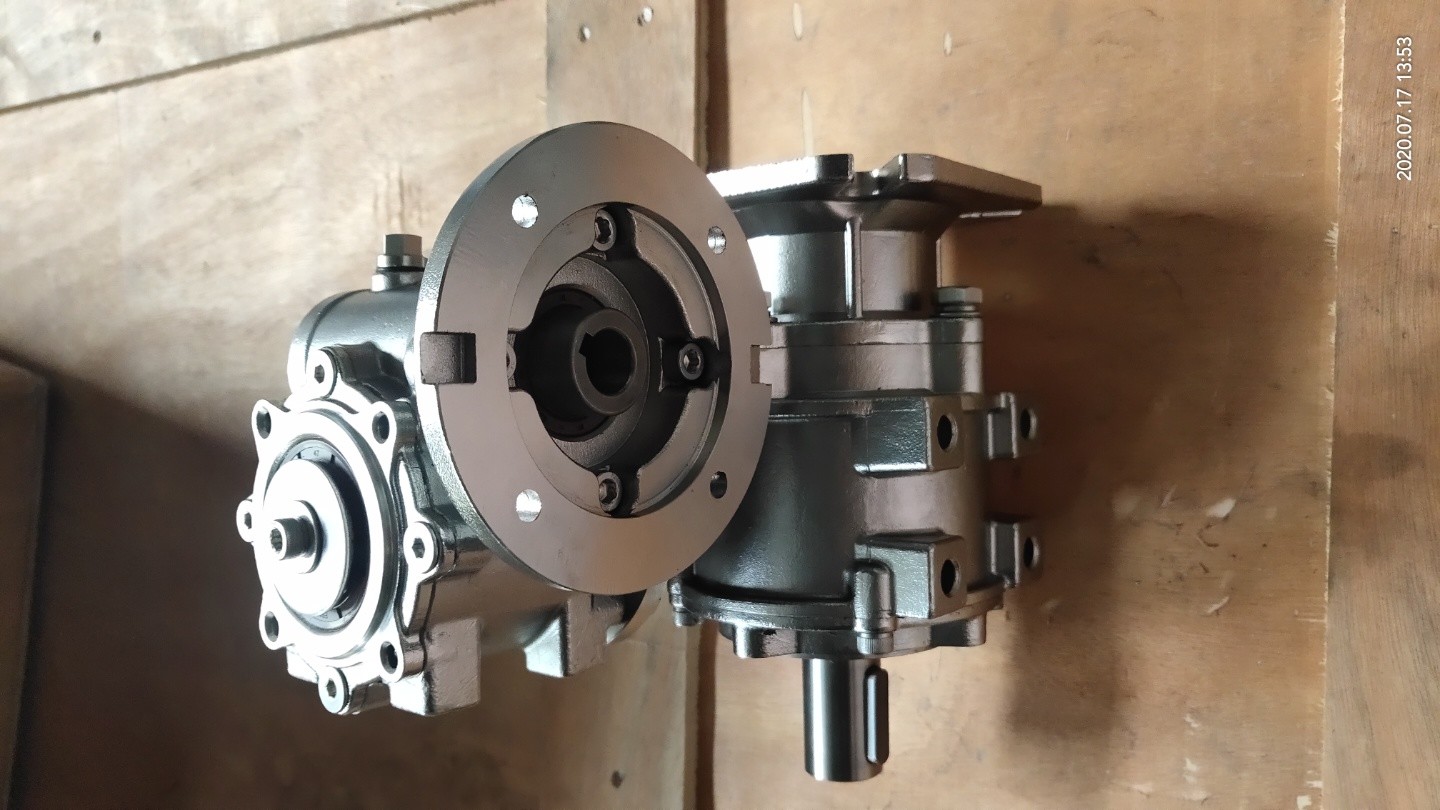 SS304 Hardness 58-62 HRC Double Reduction Worm Gear Speed Reducer