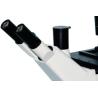 Buy cheap Inverted Biological Microscope B60i Fine Coaxial Focus from wholesalers