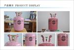25lb 11.3kg R410A Refrigerant Disposable Cylinder Inflammable Gas