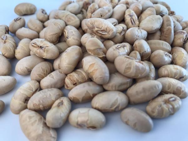 Buy cheap Sea Salt Flavor Roasted Soya Beans Pure Natural No Additive from wholesalers