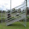 Buy cheap Hot Dipped Galvanized Sheep Loading Ramp Plans Livestock Handling Equipment from wholesalers