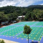 Sport Court PP Tiles Sports Flooring Interlocking With Line Marking Service