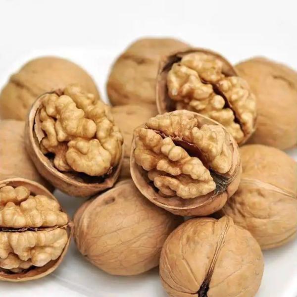 Buy cheap Dry and Cool Storage for Customer Requirements Persian Walnut from wholesalers
