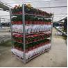 Buy cheap Hot Dip Galvanized Plywood Material Flower Trolley Heavy Wheel Easy To Install from wholesalers