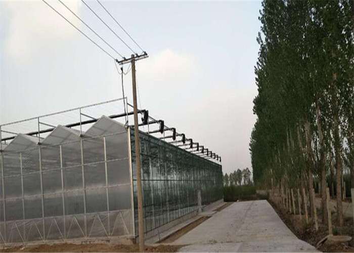 Arch Shape Clear Polycarbonate Greenhouse Polycarbonate Hollow Board Covering Material