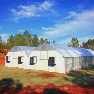Wholesale BAOLIDA 20 X 40 Polycarbonate Tunnel Automated Blackout Greenhouse from china suppliers