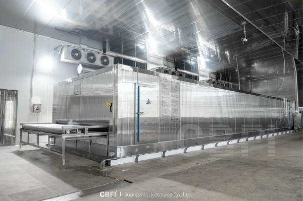 Fish Fillet IQF Continous Individual Fast Freezing Machine Food Quick Tunnel