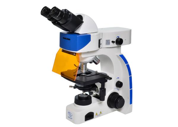 Buy cheap UOP Upright Fluorescence Microscope , High Resolution Fluorescence Microscopy from wholesalers