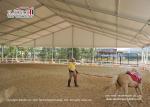 Clear Span Large Aluminum Tent For Equestrian Horse Arena