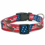 All Seasons Polyester Dog Collar Buckle Type Customized American Flag Design