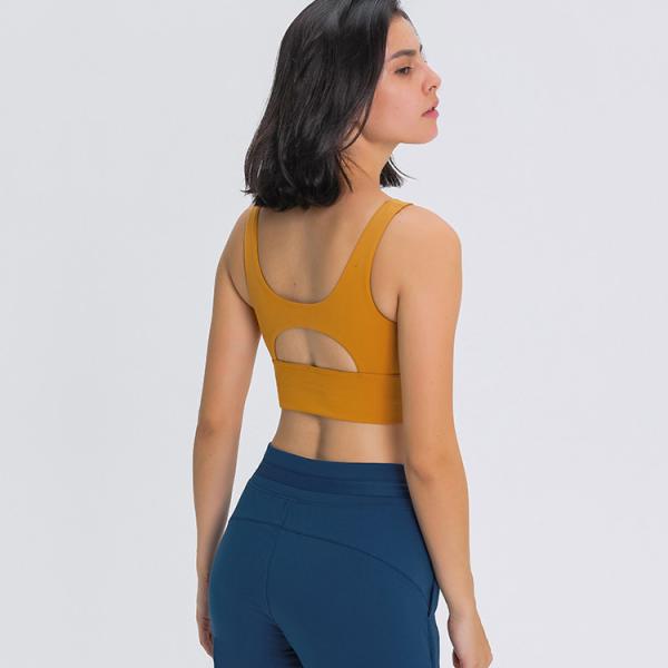 Lady Sexy Hollow Back High Quality Full Support Push Up Sports Bra High Sport