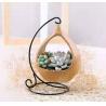 Buy cheap Ceramic and Iron Flower Pot for Garden or Home Decoration from wholesalers