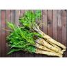Buy cheap 100% Pure Ingredient Horseradish Root Wasabi Special For Japanese Cuisine from wholesalers