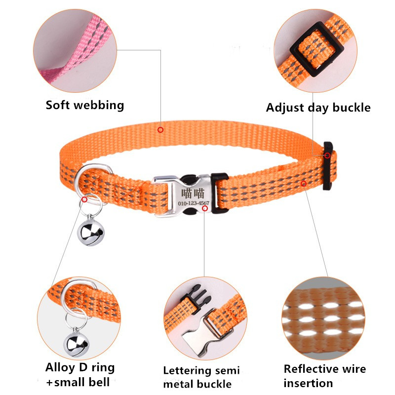 slip collar for dogs