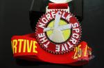 Die Casting Metal Award Medals Soft Enamel With Lanyards 50*3mm