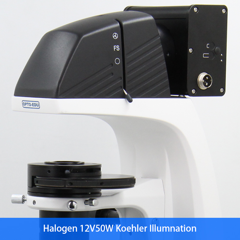 Inverted Fluorescence Led Digital Microscope