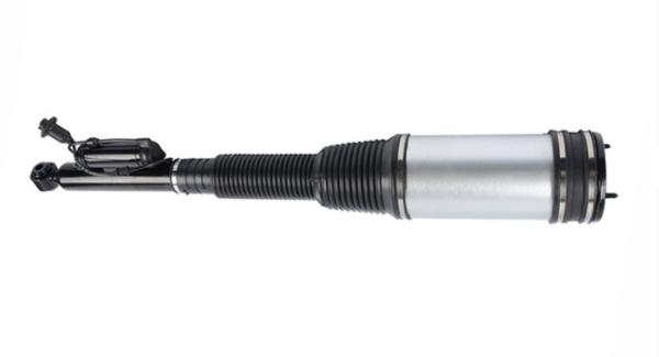 2203205013 Mercedes Benz Air Suspension Parts Air Ride Struts For W220 Air Shock