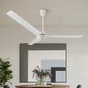 Buy cheap Ceiling Fan Delux Model Less Price and Best Quality Metal Fan Comercial Using from wholesalers