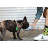 Buy cheap 0.98 Inch Adjustable Neck Dog Harness from wholesalers