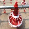 Buy cheap 380V Broiler Automatic Feeder , 500KGS Hot Dip Galvanized Chicken Cage Equipment from wholesalers
