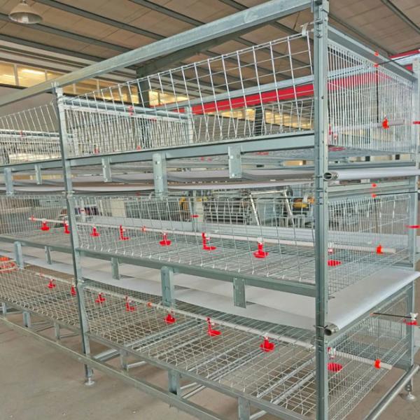 Buy cheap Baby Broiler Chicken Cage Farming Coop Animal Husbandry Equipment from wholesalers