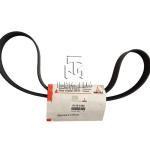 V-Ribbed Belt 1507MM 01183380 01181768 1183380 1181768 0118 3380 0118 1768 for