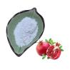 Buy cheap Anti Cancer Pomegranate Extract Ellagic Acid Cosmetics Raw Material 95% 98% 99% from wholesalers