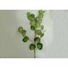 Buy cheap Clear Veins Artificial Green Mill Malus Plant Faux Plant For Home Decor from wholesalers