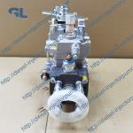 Diesel VE4 Fuel Injection Pump 0460424317 2644N207 2644N201 G214940011010 for