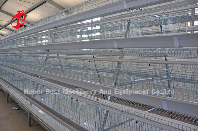 Chicken A And H Automatic Battery Cage System For Poultry Farming Breeding Sandy