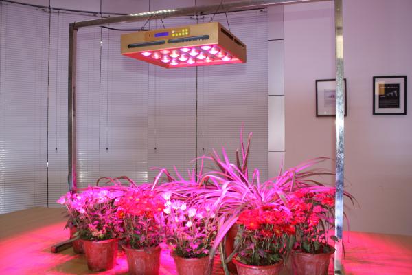 Buy cheap full spectrums 320W led grow lights for hydroponic, greenhouse from wholesalers
