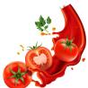Buy cheap Aseptic Concentrated Tomato Sauce Machine With Large Bag from wholesalers