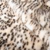 Buy cheap Density Contact Faux Fur Fabric for in Garment and Auto Upholstery from wholesalers