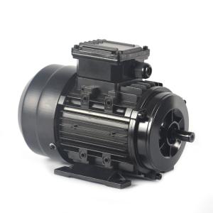 China IE5 Low Speed Permanent Magnet AC Motor 3 Phase Small Size Noiseless on sale