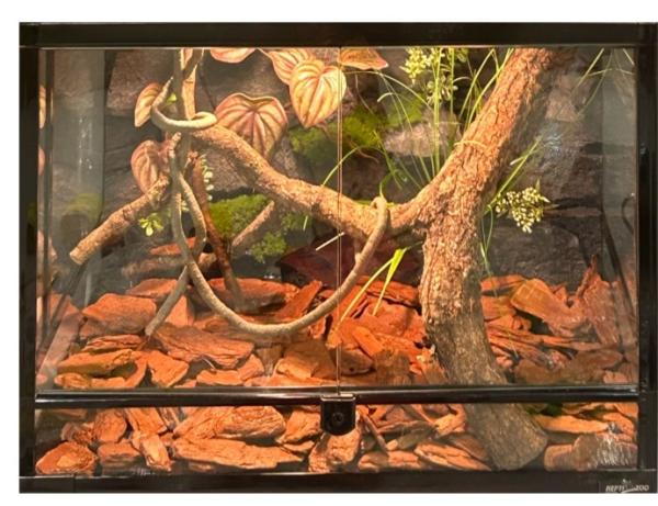 Buy cheap Lightweight Vivarium Rock Background PU Material Decorative Stone For Pet from wholesalers