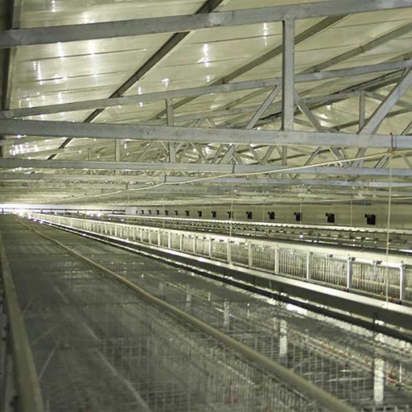 Buy cheap Low Disease Baby Chick Cage 195 * 50 * 35CM Size 20 Years Life Span Free Design from wholesalers