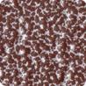 Buy cheap Garden Facilities Metallic Powder Coat With White Copper Shining Metal Effect from wholesalers
