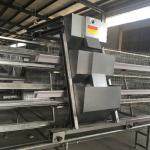 Full Automatic Battery Chicken Cage Hot Dip Galvanized Wire 3-4 Layers