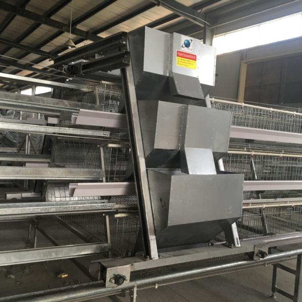 Buy cheap 1.2mm Automatic Poultry Feeding System Q235 Hot Dipped Galvanized Sheet from wholesalers