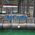 TP304L / 1.4306 Stainless Steel Coiled Tubing
