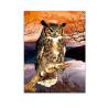 Buy cheap 30x40cm Size 3D Pictures Of Animals 0.6mm PET Material Durable from wholesalers