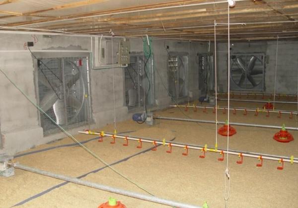 Buy cheap exhaust fan Ventilation Fan Poultry Cooling Pad For Farm from wholesalers