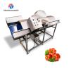 Buy cheap 185KG Wood melon half machine automatic fruit and vegetable half machine stainless steel vegetable half machine from wholesalers