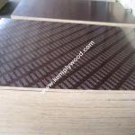 Brown Film Faced Plywood Prices Poplar Core/Hardwood Core Brown Film Faced Glued
