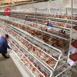 Buy cheap ISO Battery Type Breeding Cage , 3 tier chicken cage For Poultry Farm Iris from wholesalers