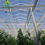 Buy cheap Commercial Multispan Large Venlo Glass Greenhouse Hot Galvanized Steel Frame from wholesalers