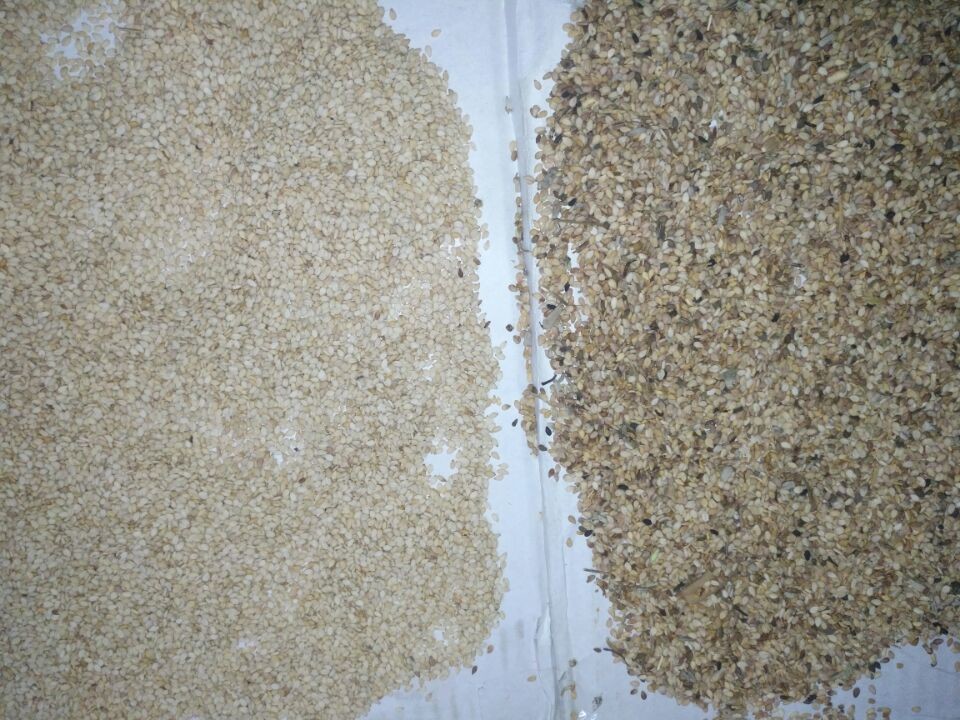 2022 Latest High Quality Grain Color Sorter wiht 8 Chutes 512 Channels Hot in Brazil