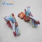 Medical Science Male Genital Organ 53cm Human Anatomical Model