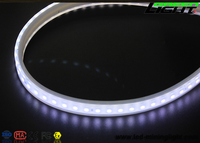 SMD5050 IP68 LED Flexible Strip Lights 170VAC Silicone
