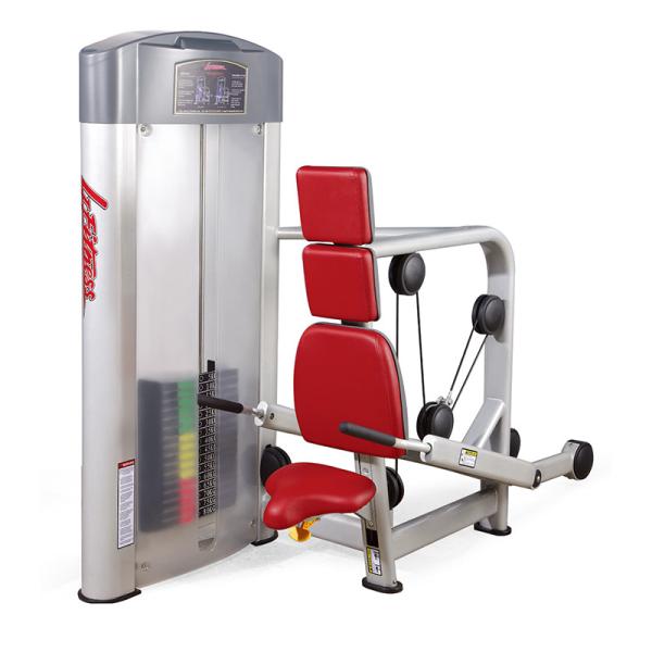 Buy cheap China gym body fitness equipment seated sliver frame triceps press exercise machine from wholesalers